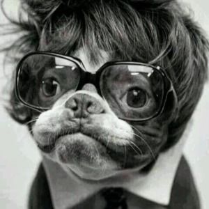 Meet your Posher, Roxanne